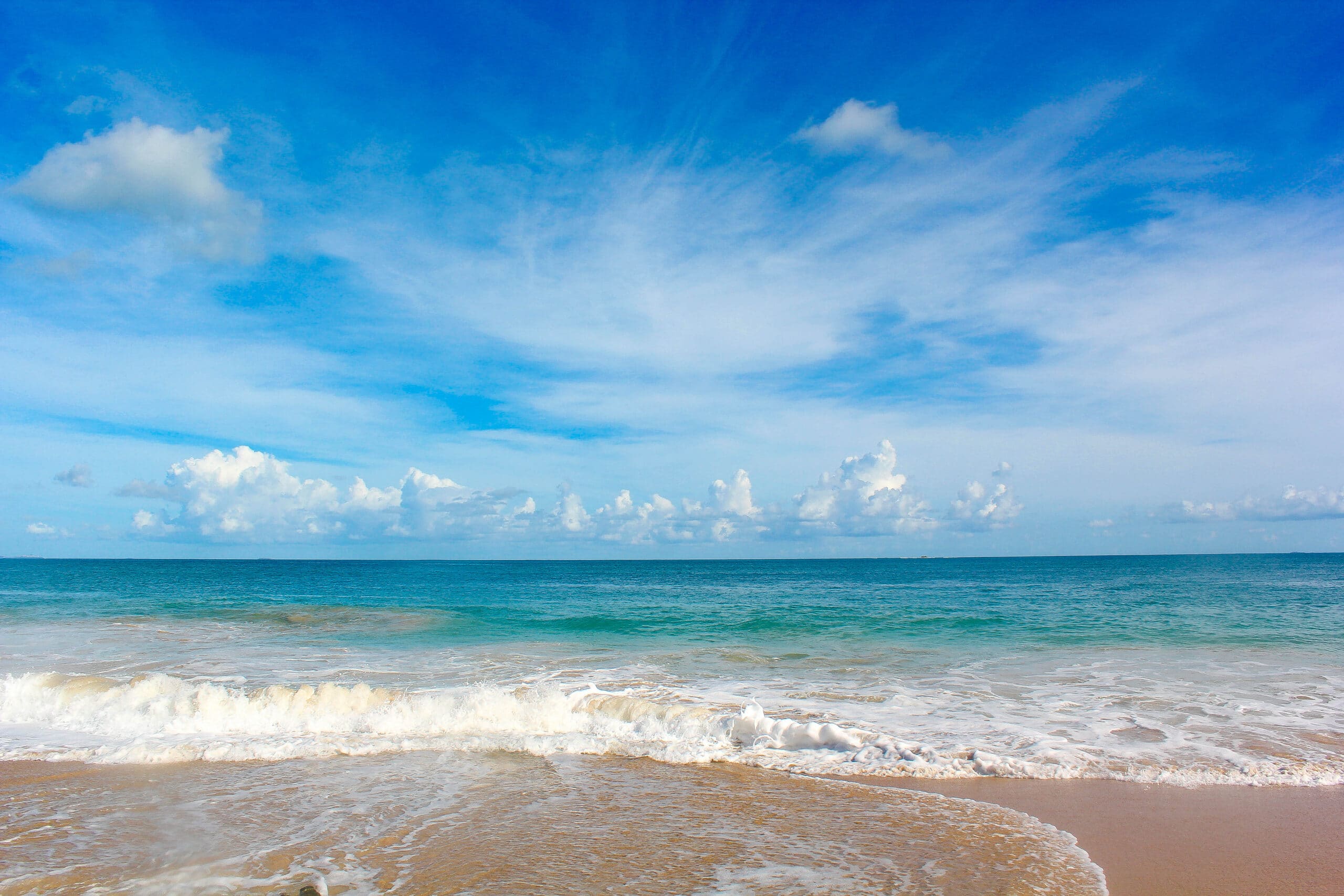 beachfront pool view at W Retreat and Spa Vieques Puerto Rico Caribbean resort image