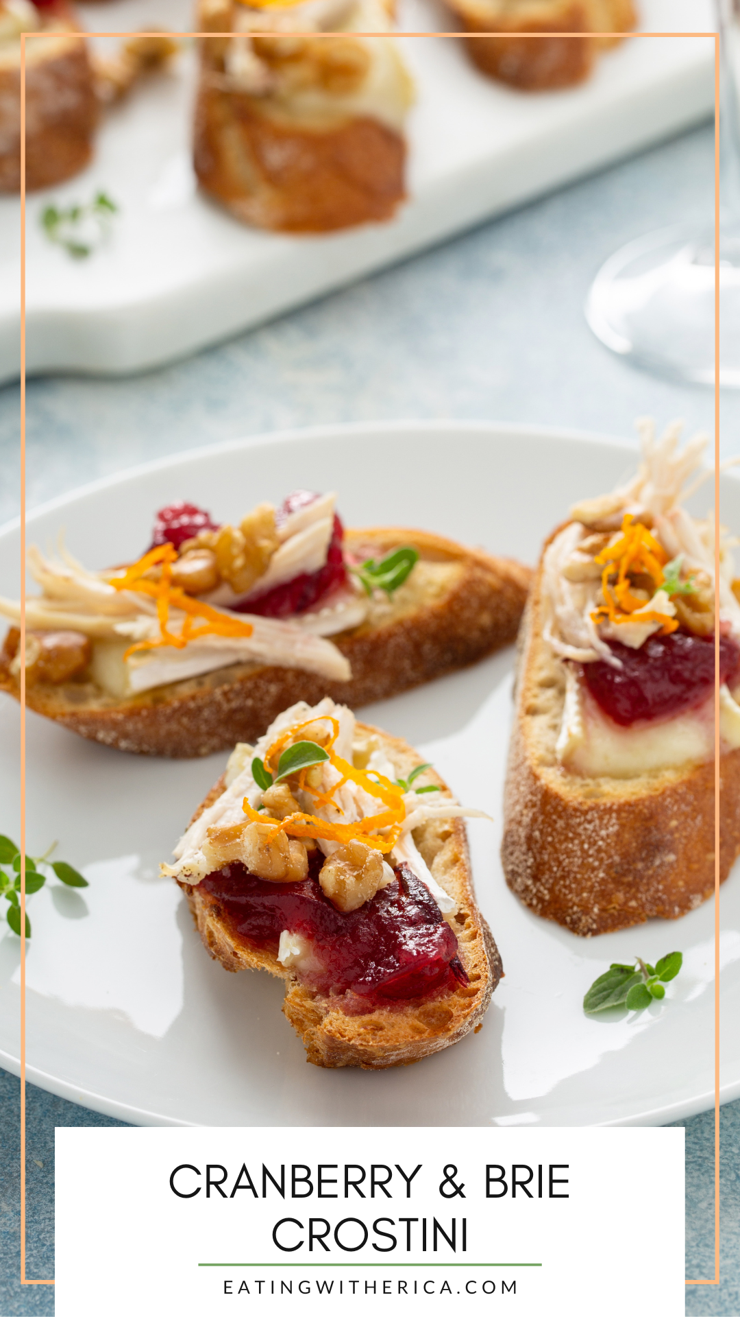 Looking for the perfect holiday appetizer? You need to try these Cranberry & Brie Crostini's - CLICK HERE to make them ASAP!