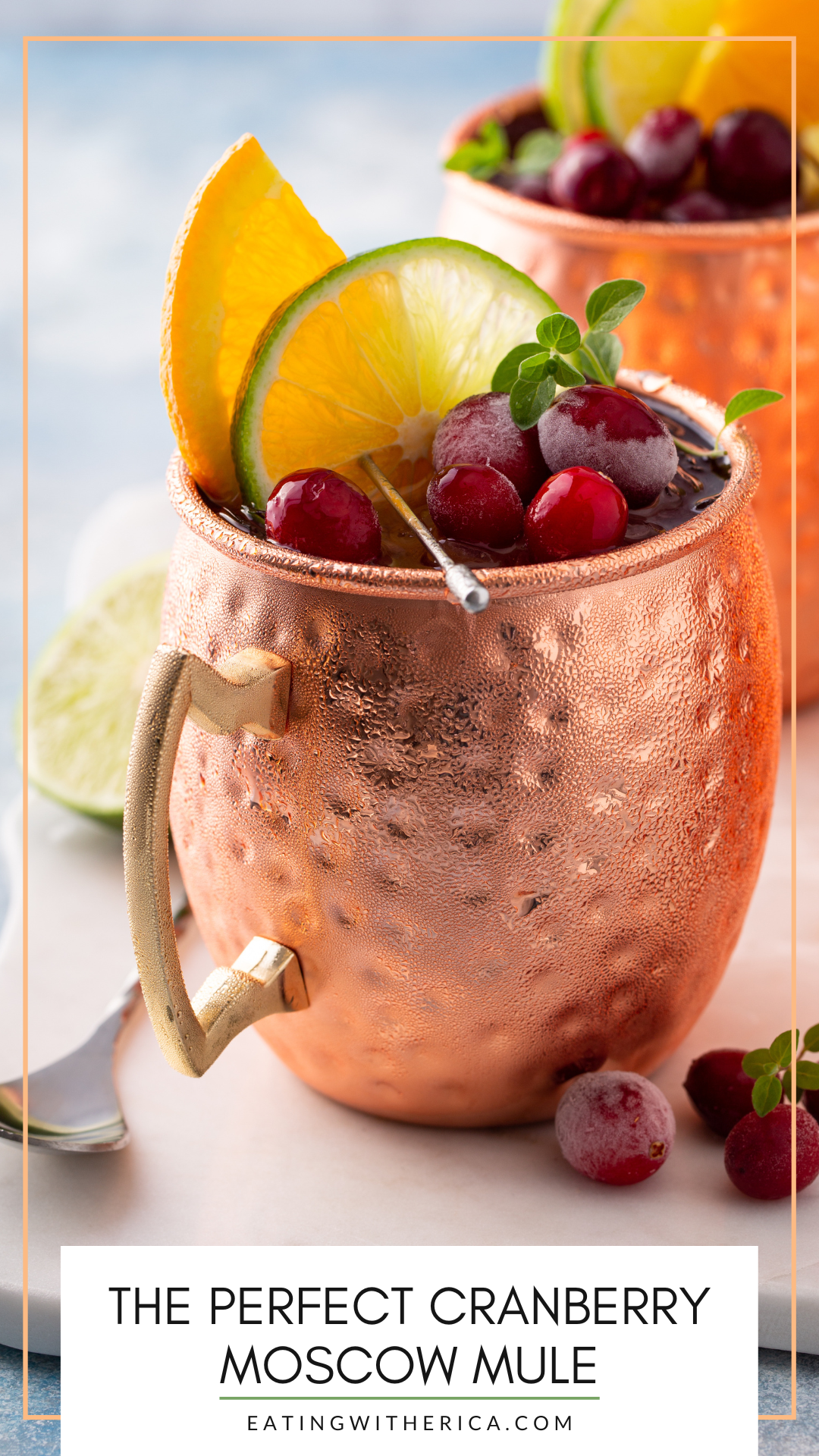 Cranberry Moscow Mule Recipe - Belly Full