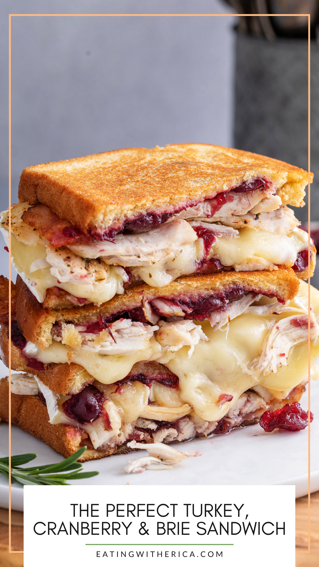 Looking for the perfect holiday sandwich? CLICK HERE to make the perfect Turkey, Cranberry & Brie Sandwich! 