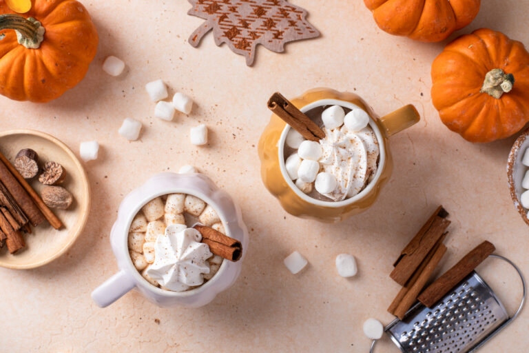The Best Fall Drink Pumpkin Hot Chocolate