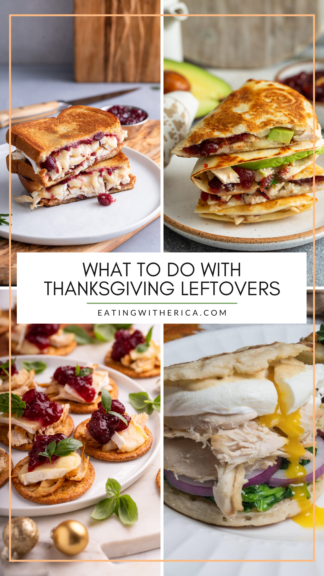 Got Thanksgiving Leftovers? CLICK HERE to see a few of the best ways on the internet to recycle those Thanksgiving Leftovers quickly! 