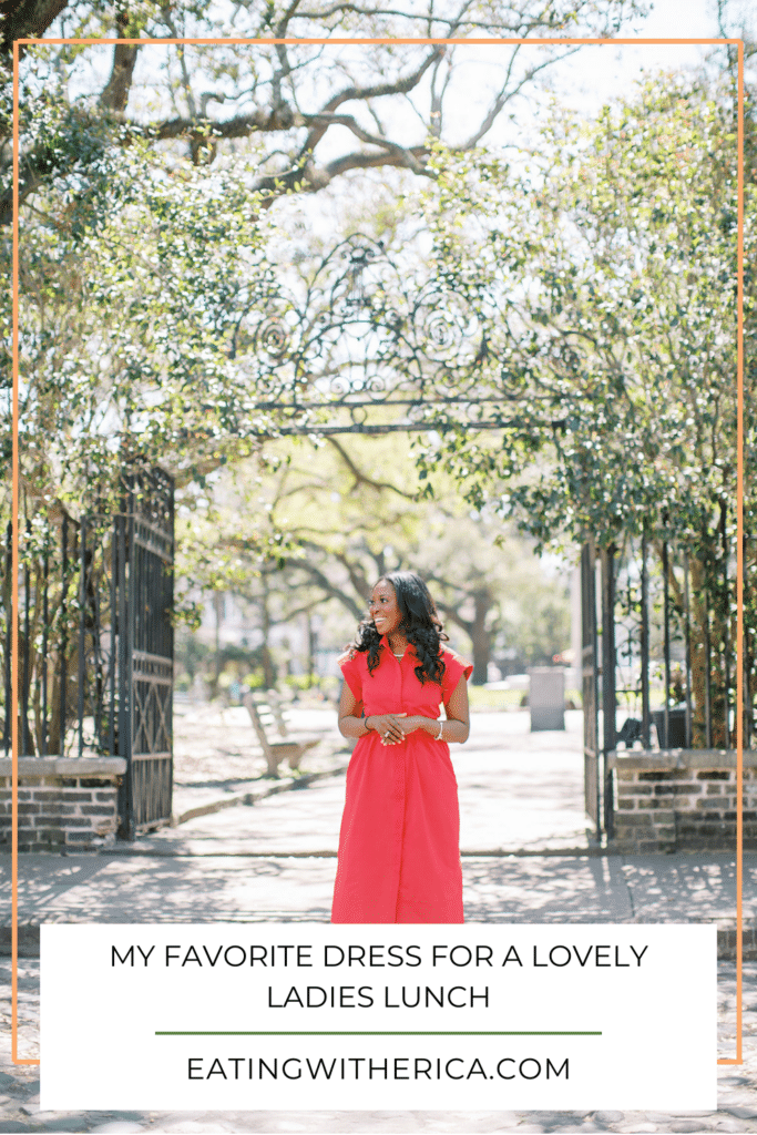 My Favorite Dress for a Lovely Ladies Lunch