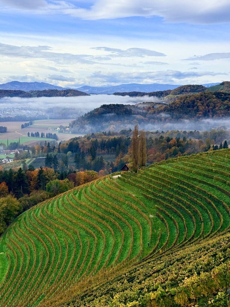Willamette Valley, Oregon
