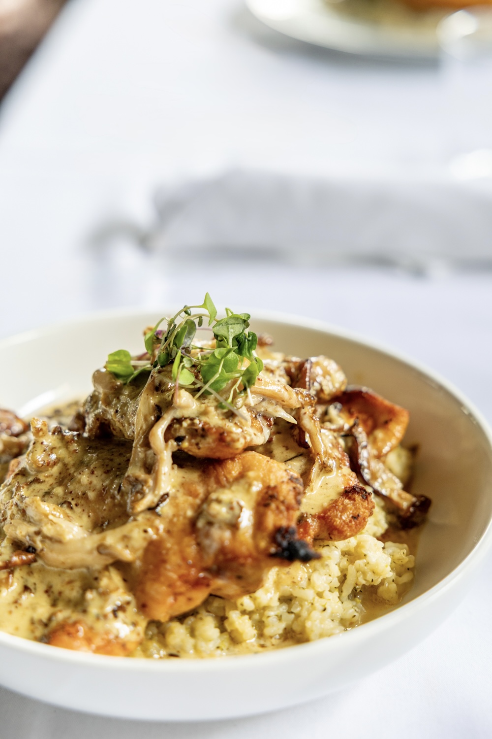 A creamy dish topped with mushrooms and fresh herbs in a white bowl at Miscellanea Spirit House